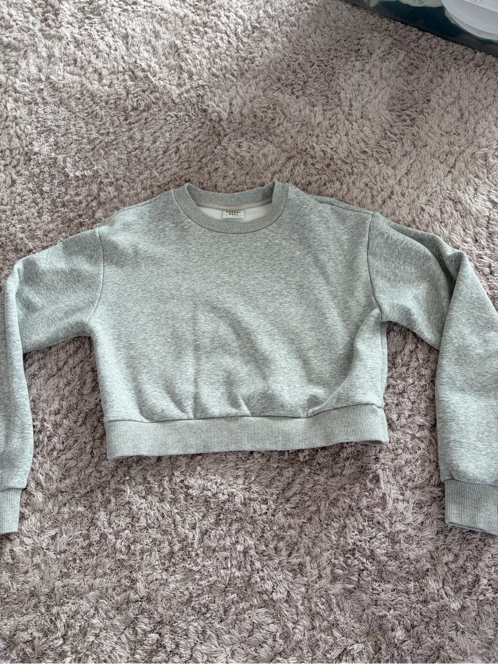 Aritzia Heather Gray Cropped Crewneck Sweatshirt